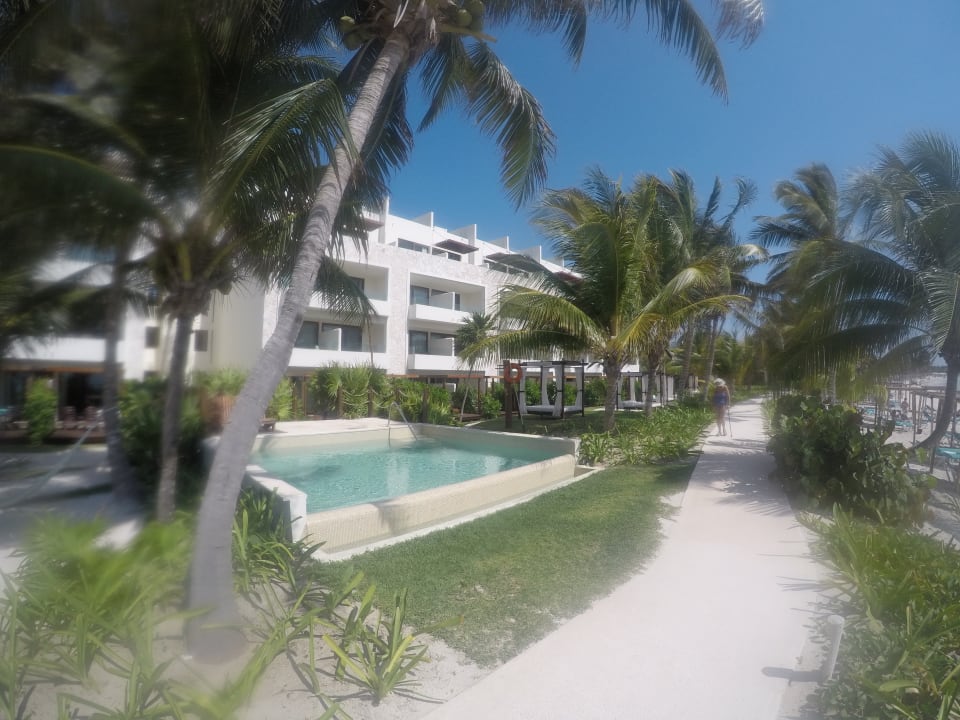 Gartenanlage Akumal Bay Beach & Wellness Resort