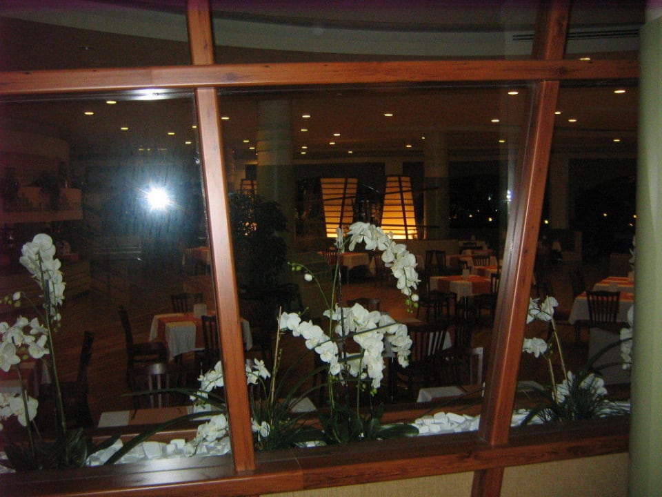 Restaurant Innenbereich VONRESORT Golden Coast