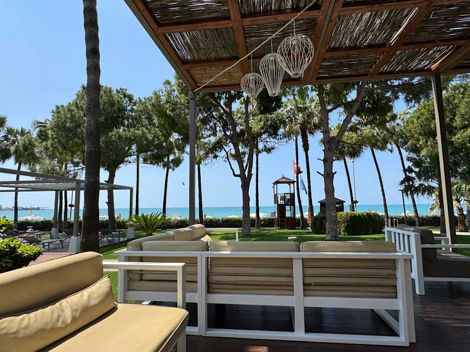 Gastro Acanthus Cennet Barut Collection
