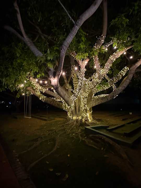 Gartenanlage Grand Palladium Punta Cana Resort & Spa