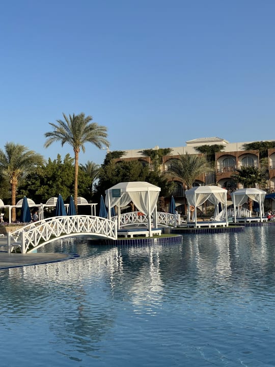 Außenansicht Desert Rose