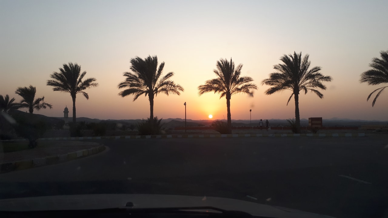 Ausblick Malikia Resort Abu Dabbab