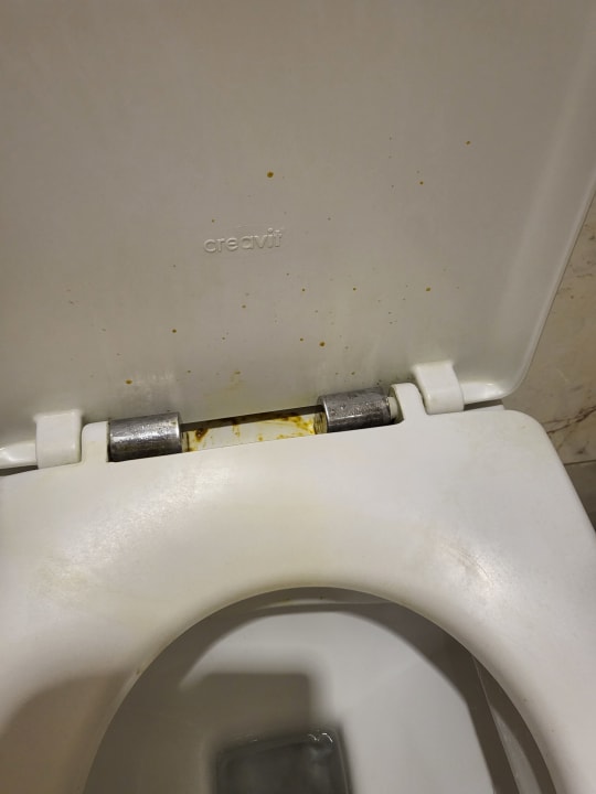 Sonstiges Well Palace Side