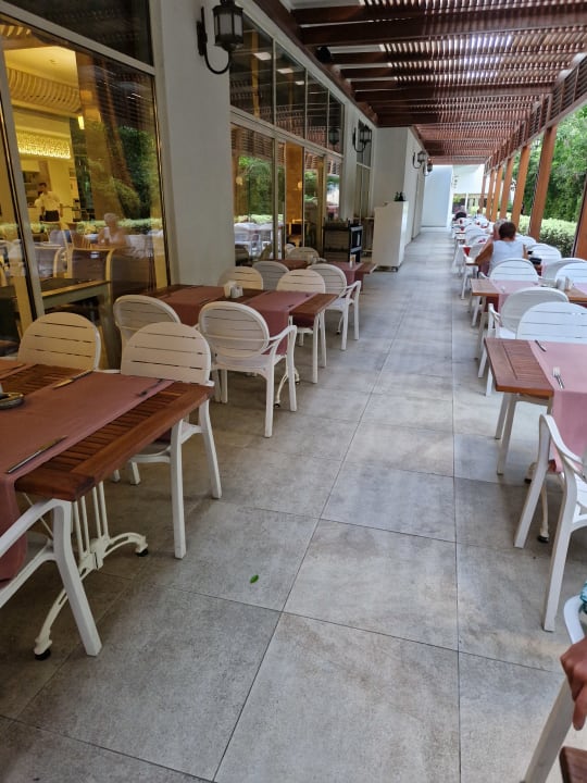 Gastro Well Palace Side