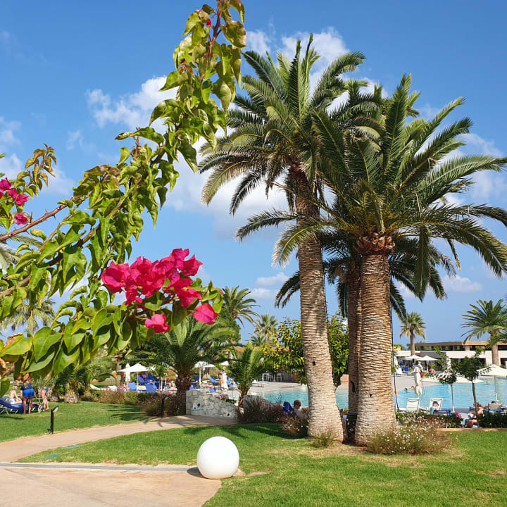 Gartenanlage Anissa Beach & Village