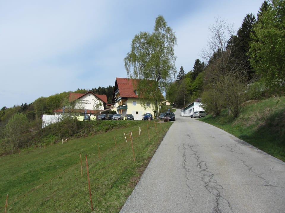 Zufahrt zum Hotel Sonnenwald Hotel