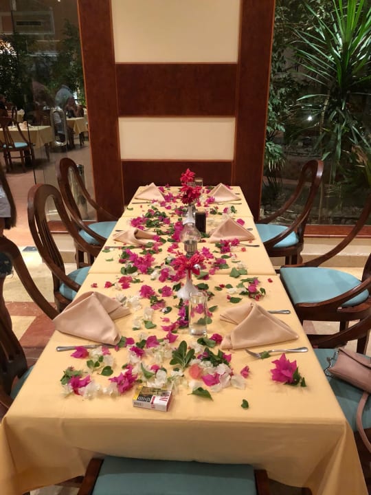 Gastro Imperial Shams Abu Soma