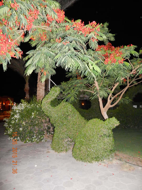 Hotelgelände Jaz Makadi Oasis Resort