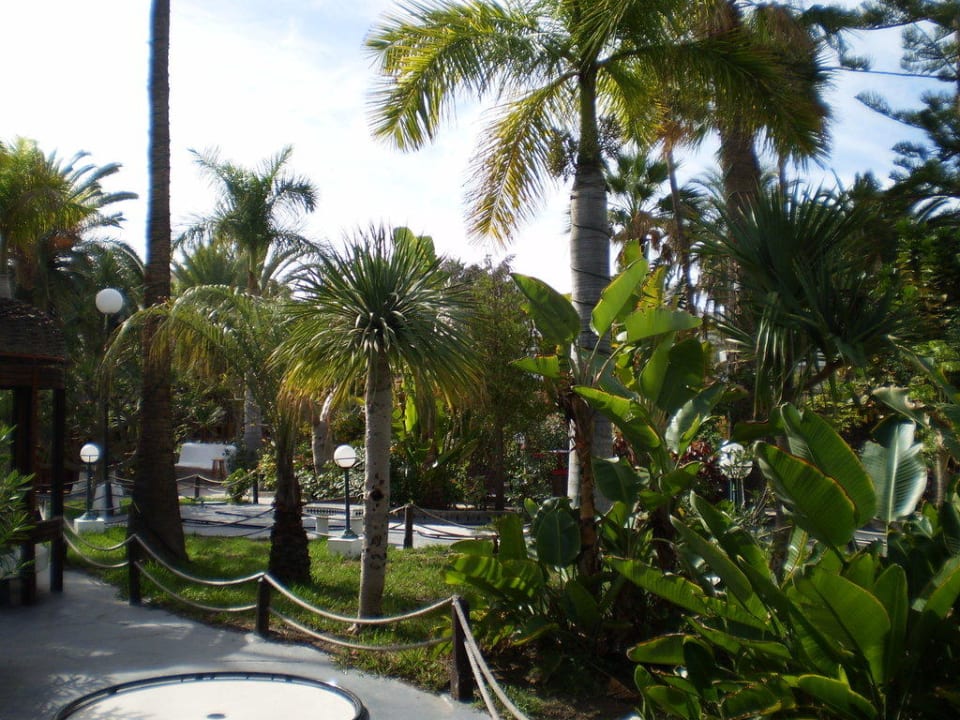 Mini Golfanlage HL Miraflor Suites Hotel