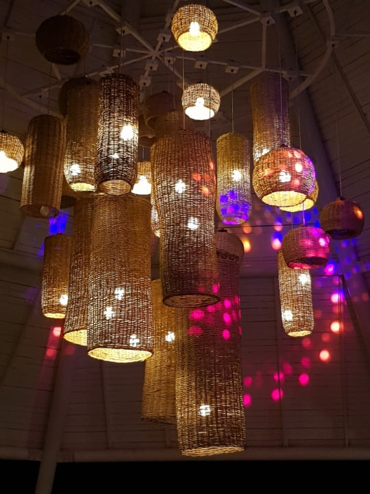 Gastro Balmy Foresta