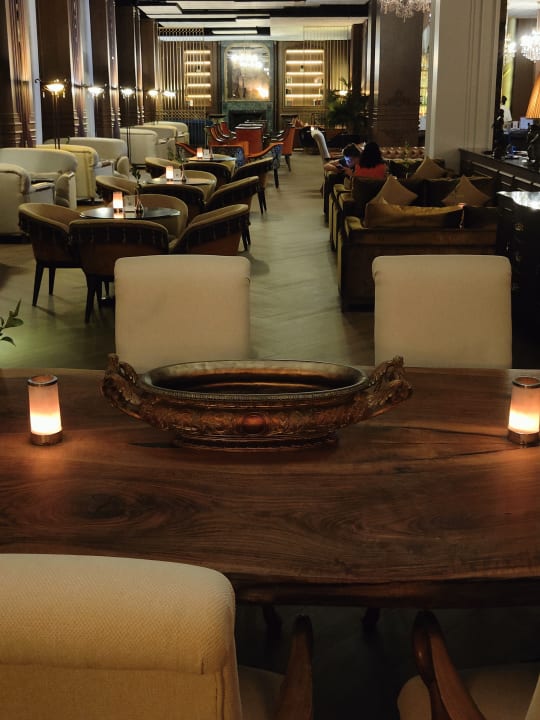 Gastro Papillon Ayscha