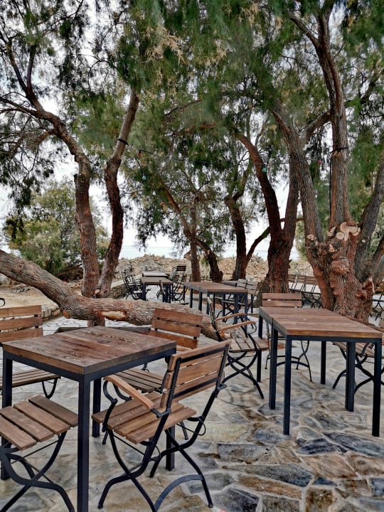 Gastro alltoura Club SUNRISE BEACH RESORT