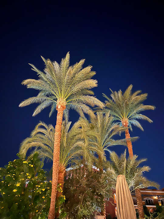 Pool The Grand Resort