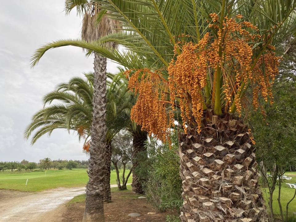 Gartenanlage ROBINSON QUINTA DA RIA