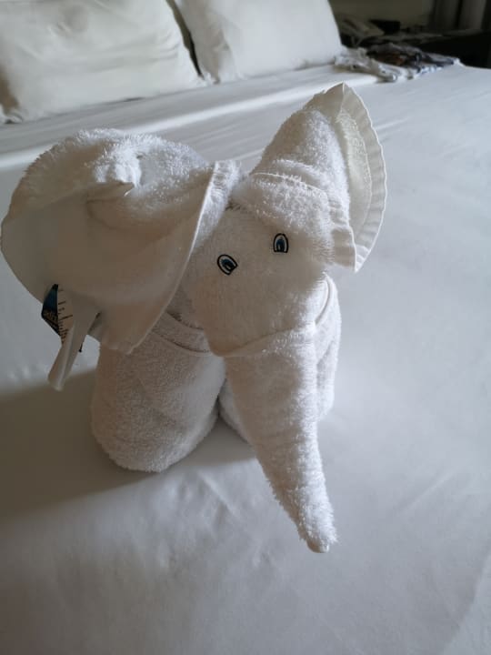 Zimmer Akumal Bay Beach & Wellness Resort