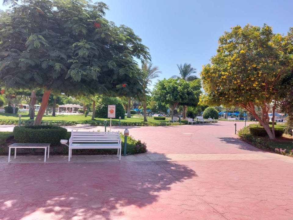 Gartenanlage Desert Rose