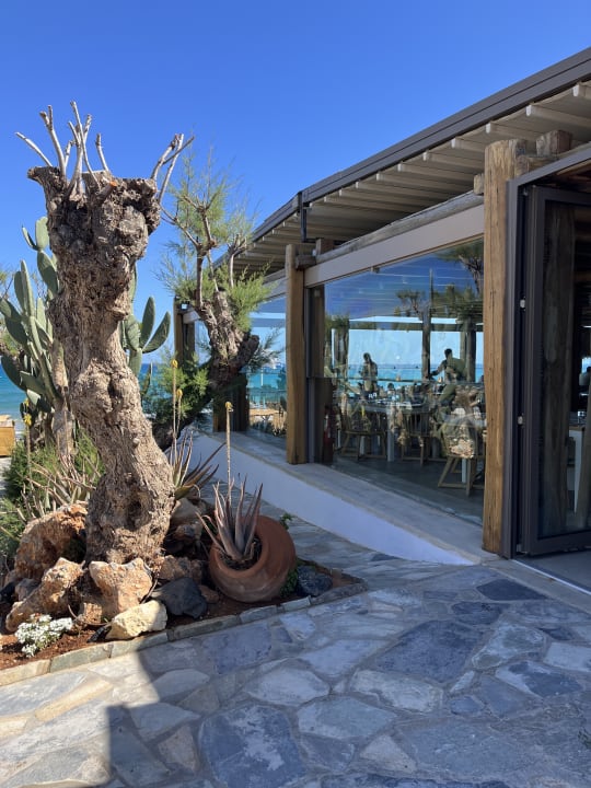 Gastro Mitsis Selection Rinela