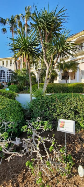 Gartenanlage Fuerte Conil-Resort