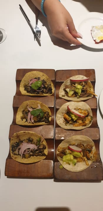 Gastro Akumal Bay Beach & Wellness Resort