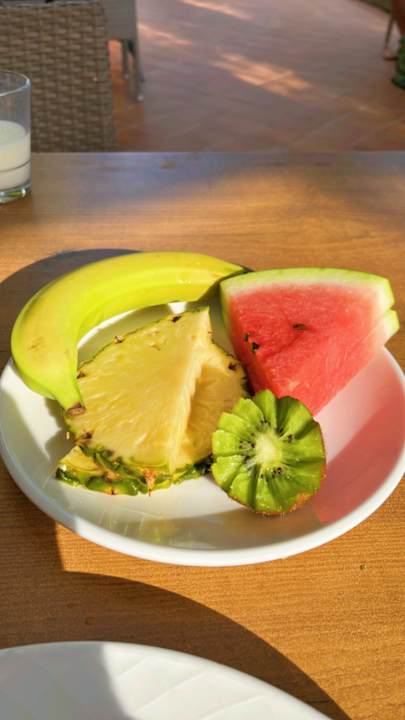 Gastro blau punta reina