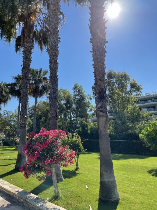 Gartenanlage Arum Barut Collection