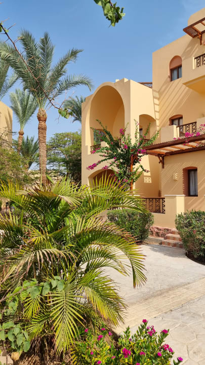 Gartenanlage Steigenberger Coraya Beach - Adults only