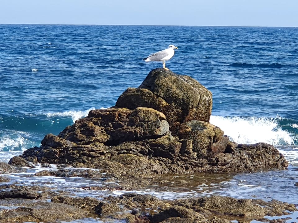 Strand R2 Bahía Playa Design Hotel & Spa - Adults Only