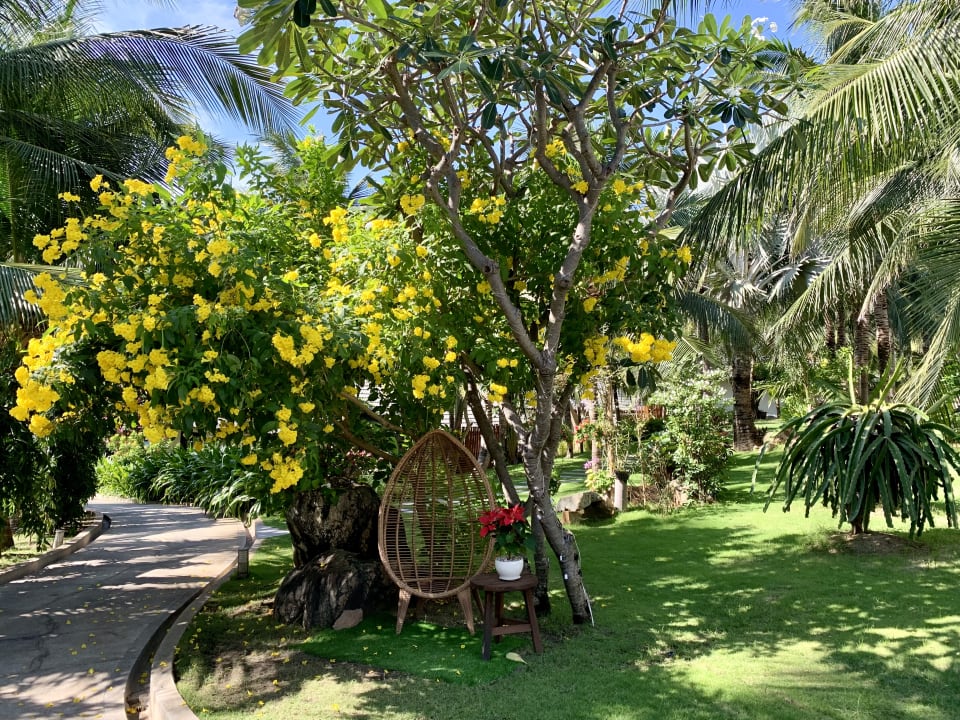 Gartenanlage The Cliff Resort & Residences