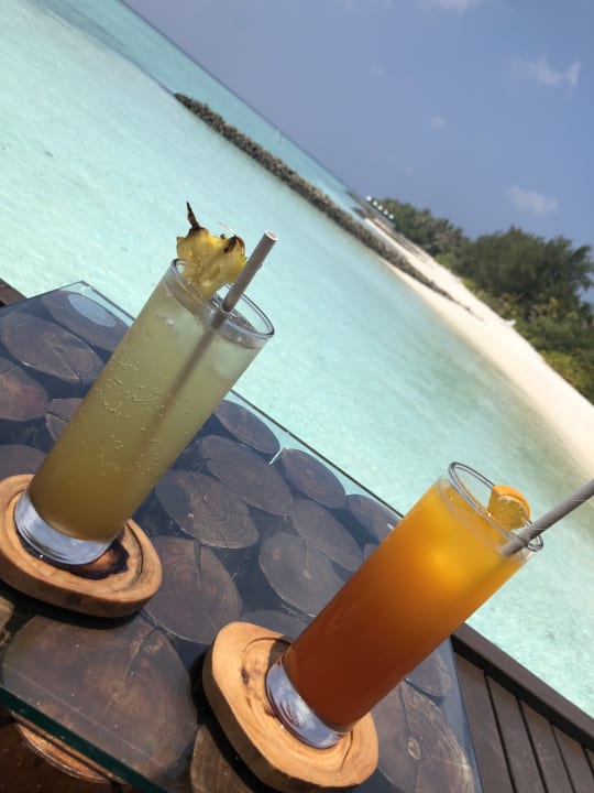 Gastro Summer Island Maldives