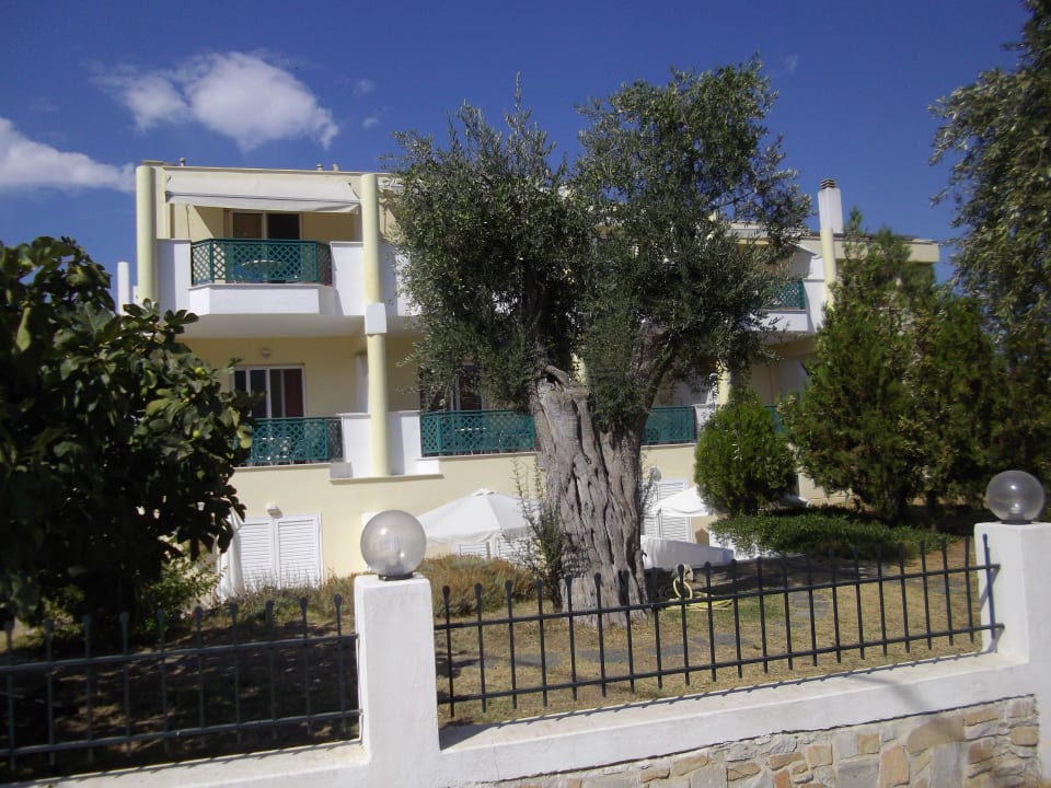 Hotel Hotel Aegean Sun