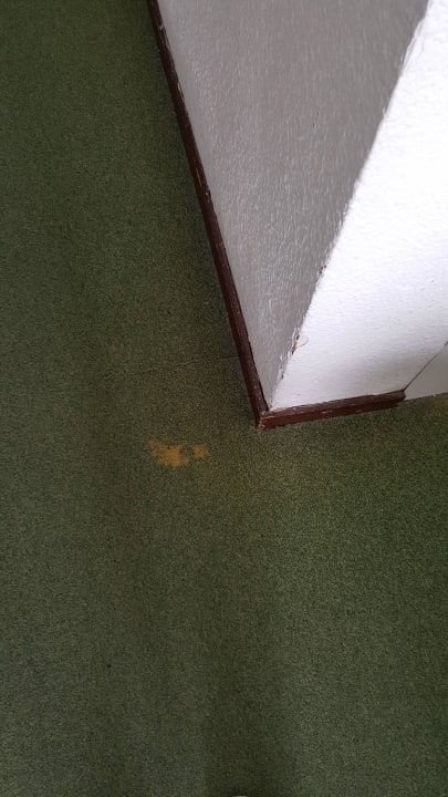 Teppich Hotel Vibra Beverly Playa