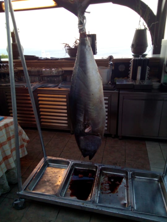 Gastro Hotel Kalithea Horizon Royal