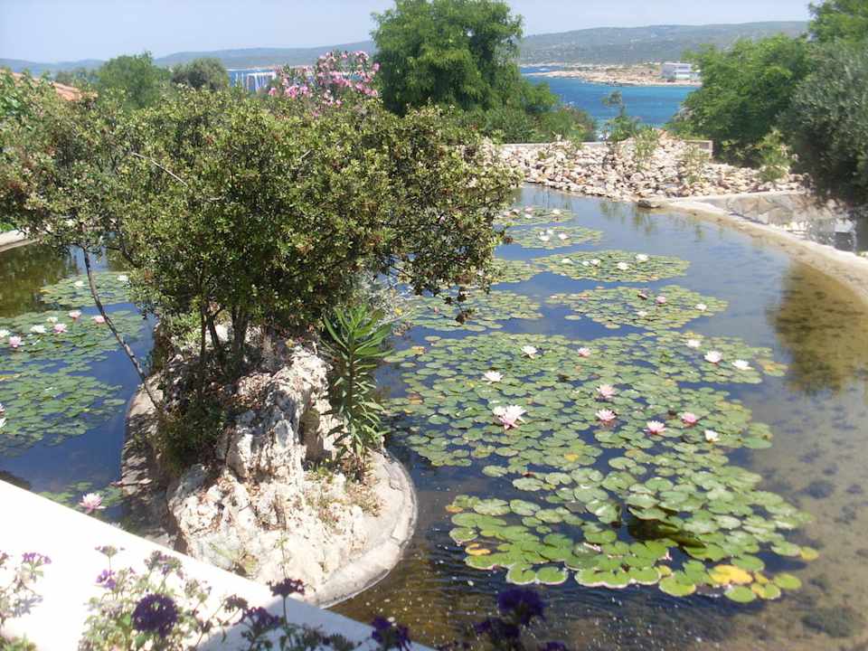 Froschteich Club Resort Atlantis