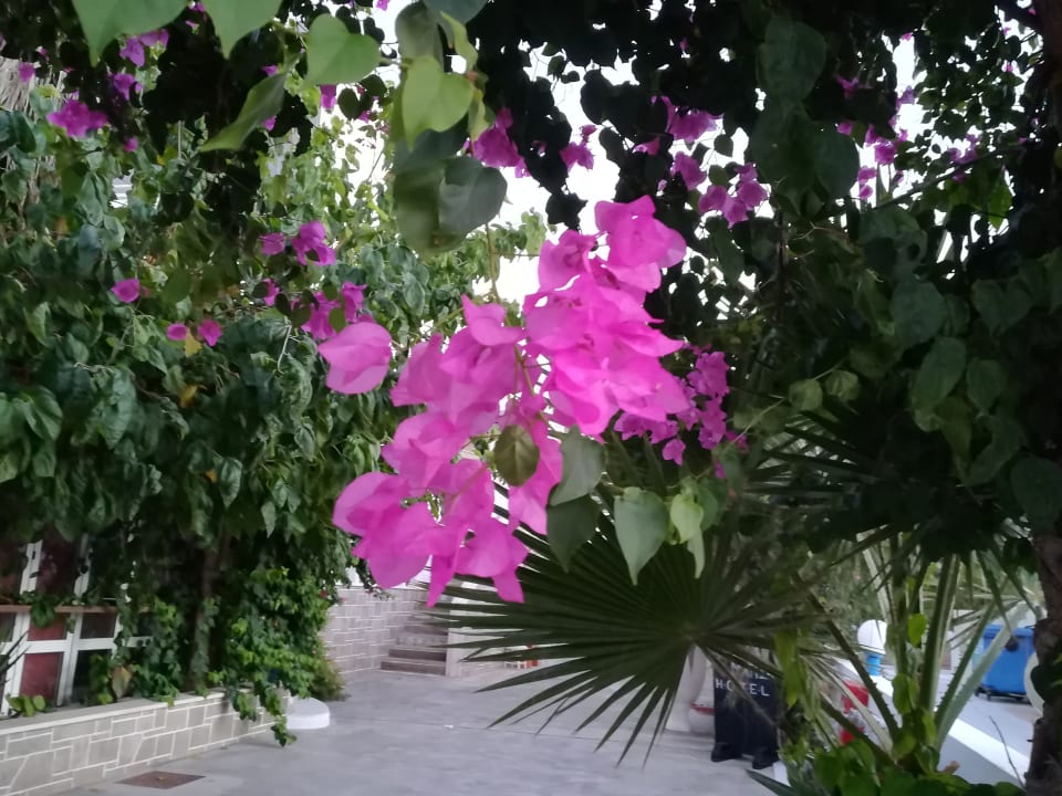 Gartenanlage Calimera Sirens Beach