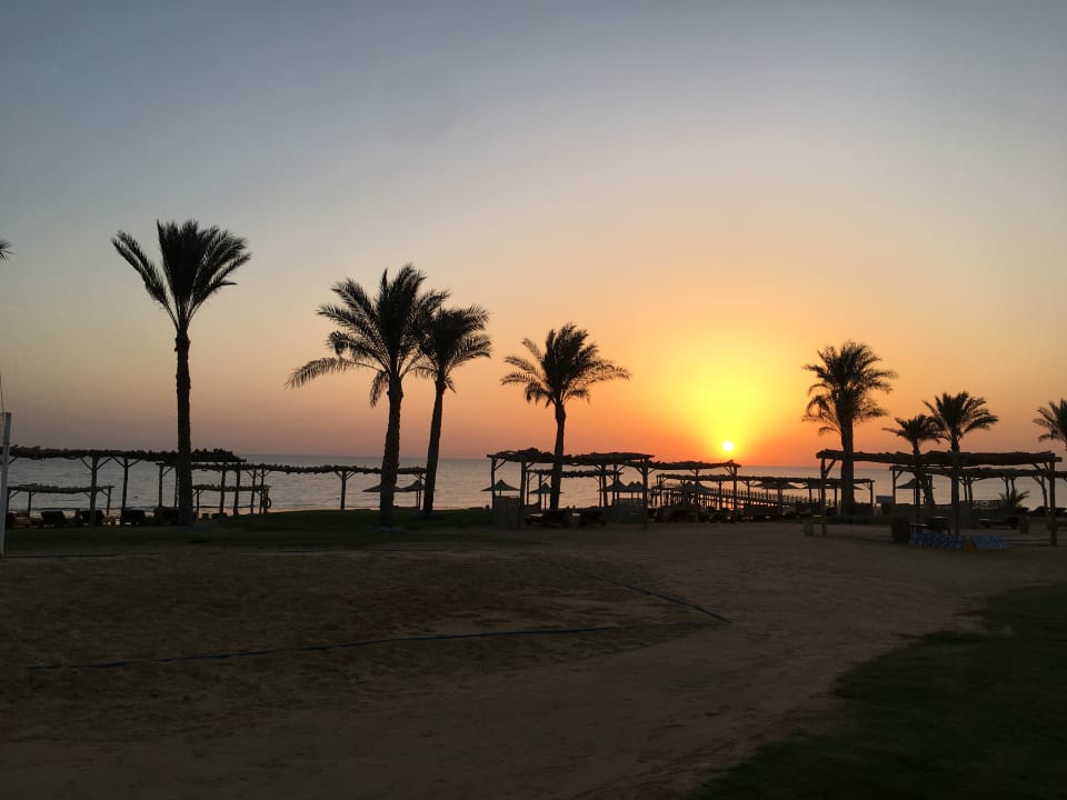 Ausblick Steigenberger Resort Alaya Marsa Alam - Red Sea - Adults only