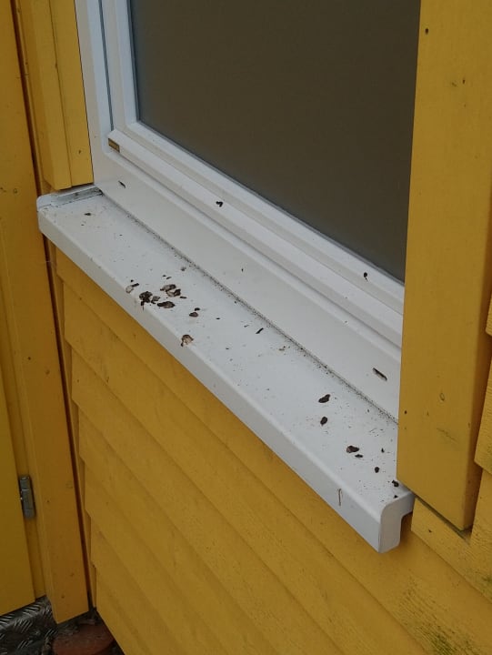 Sonstiges Ferienhauspark Asgard in Damp