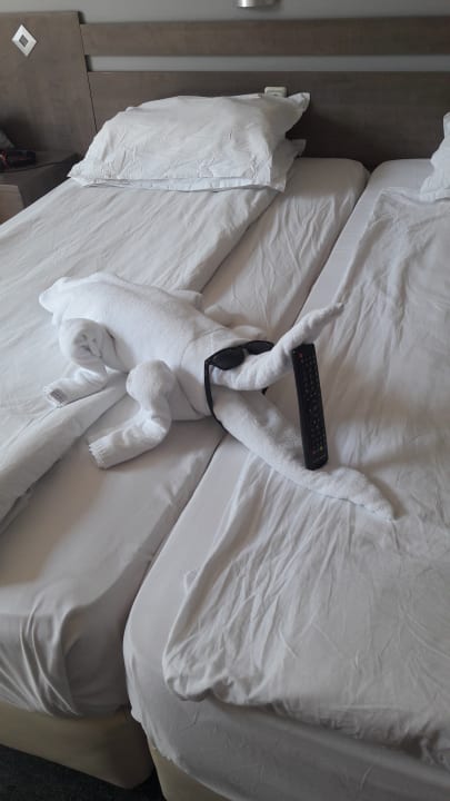 Zimmer Odessos Park Hotel