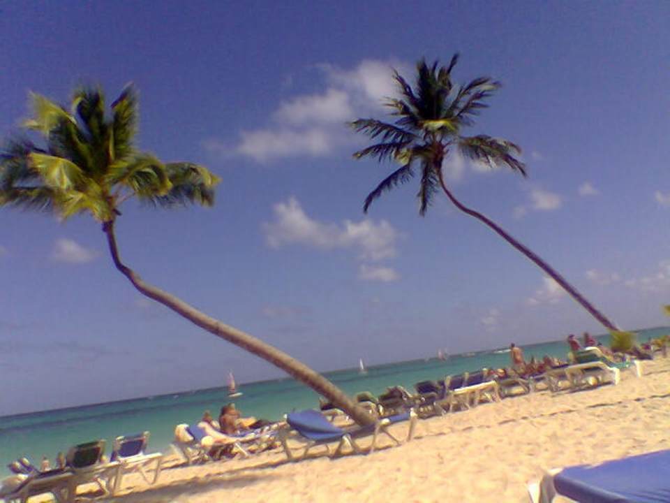 Immer wieder gern genommen Hotel Riu Palace Bavaro
