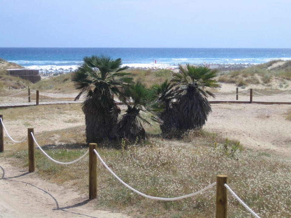 Bucht von Cala Mesqudia VIVA Cala Mesquida Suites & Spa 16+
