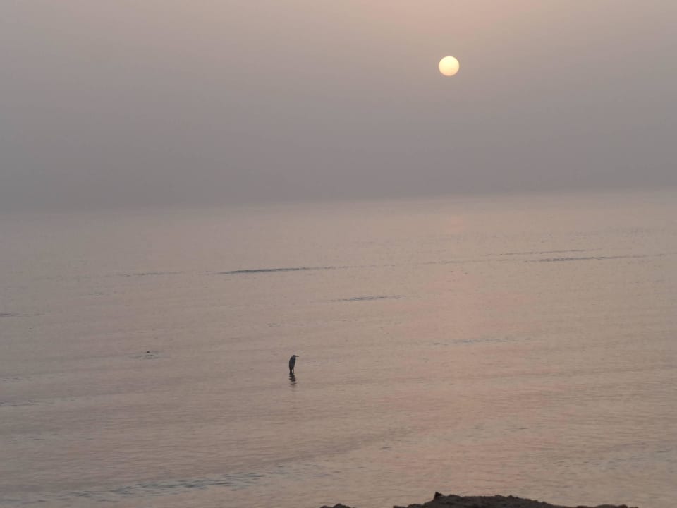 11.9.15 Was ist mit der Sonne los? Coral Sun Beach