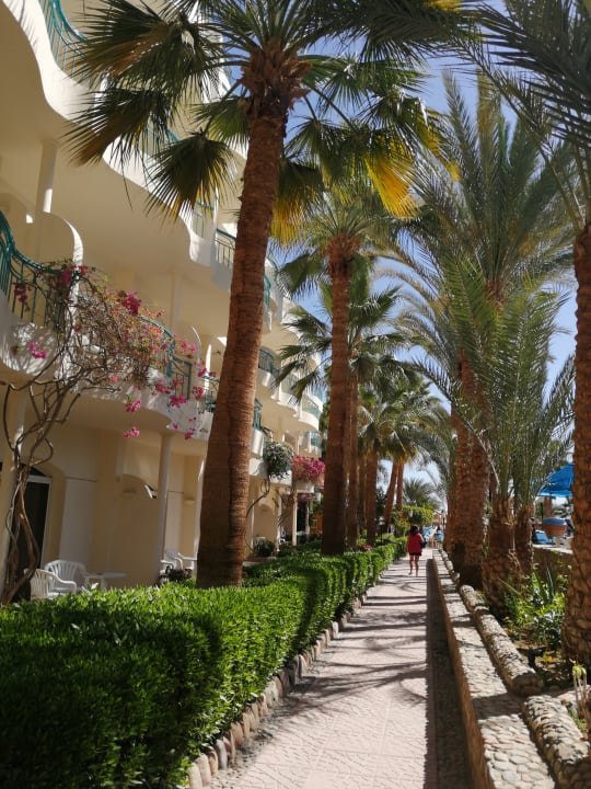 Gartenanlage Bella Vista Resort Hurghada