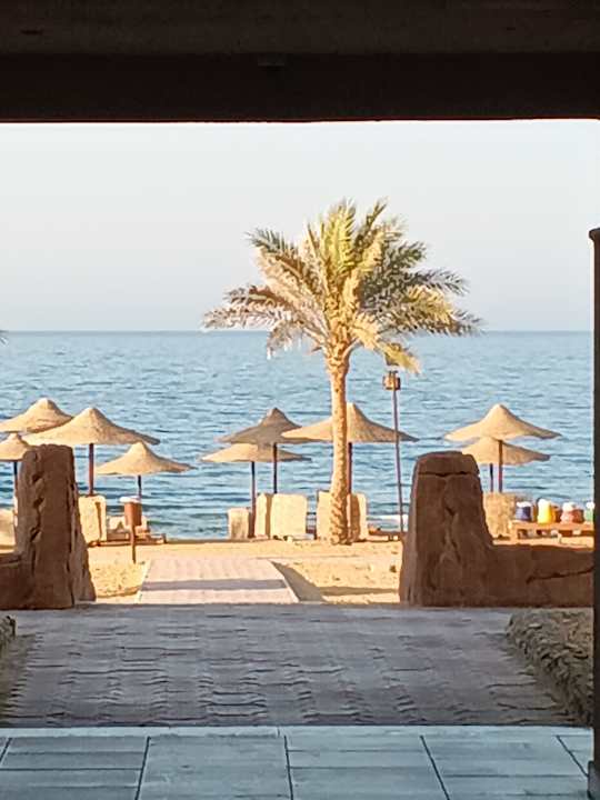 Zimmer Three Corners Sea Beach Resort