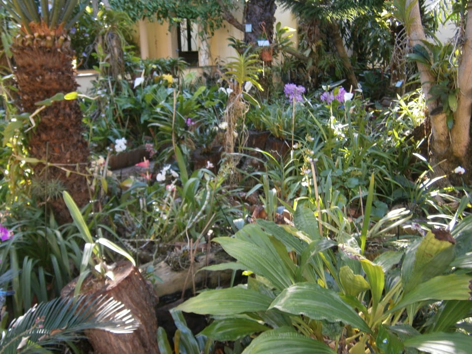 Hotel Orchideengarten Hotel Porto Mare - PortoBay