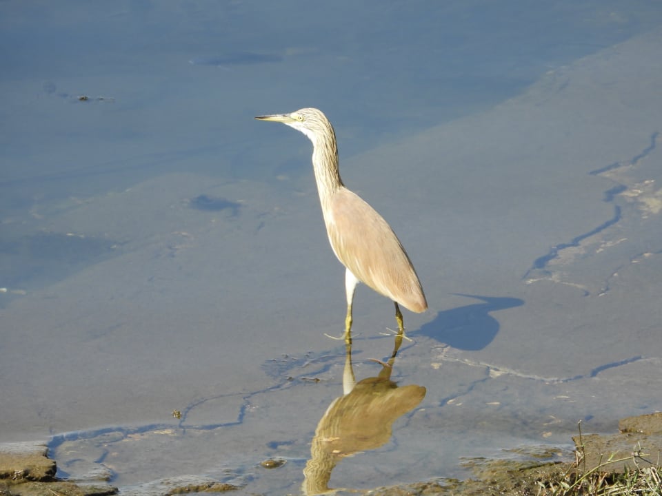 Gartenanlage Jolie Ville Kings Island Luxor