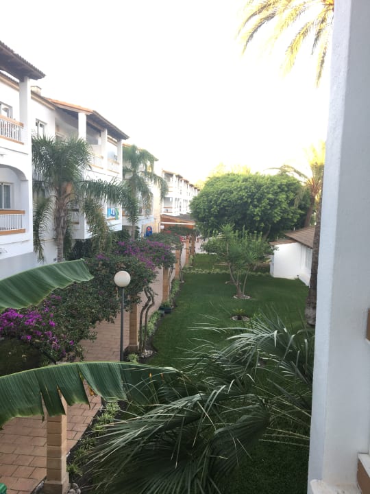 Ausblick Alcudia Garden Aparthotel
