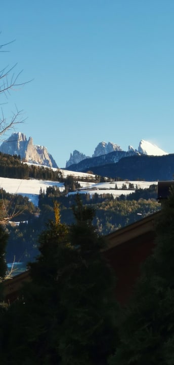 Zimmer Sonnenhotel Adler