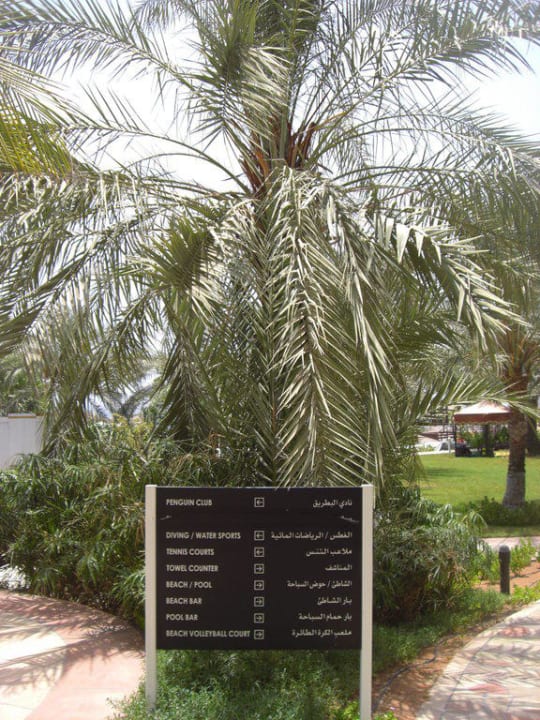 Palme mit Schild Hotel Le Meridien Al Aqah Beach Resort