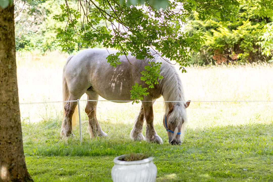 Außenansicht Schloss Wulkow
