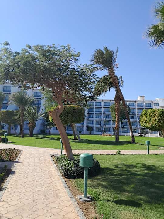 Gartenanlage Shams Safaga Resort
