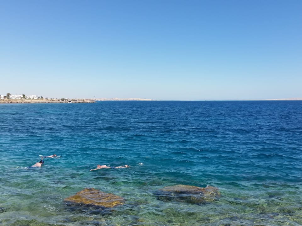 Strand Pickalbatros Aqua Vista Resort - Hurghada